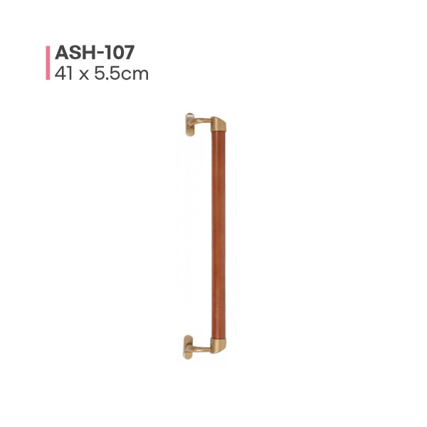 ASH-107