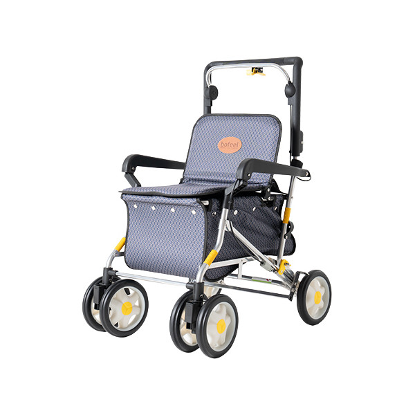 BFSC-01